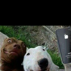 Гульназ Менлибаева