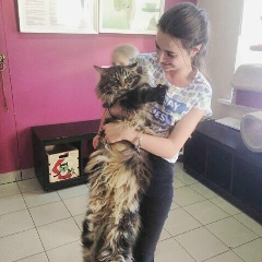 Zara Arzumanyan, 02.04.1998, Ереван