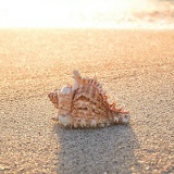 Петр Плетюхин, 21.09.1982, Санкт-Петербург