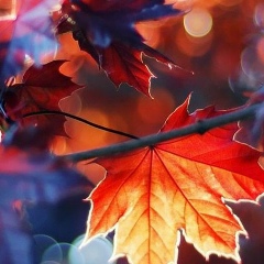 Нигора Жалмуханбетова, 25.11.1990, Актобе