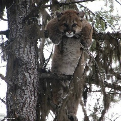 Tantrick =^_^=, 01.04, Москва