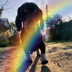 Анна Спирина, 19.08.1987, Москва