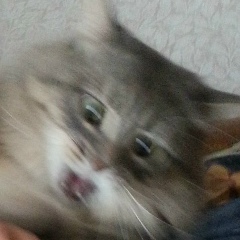 Антон Буйских, 19.06, Cambridge