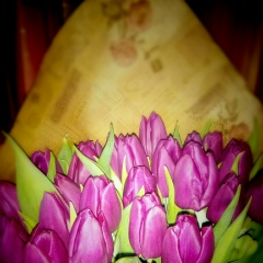 Юлия Пирус, 06.04