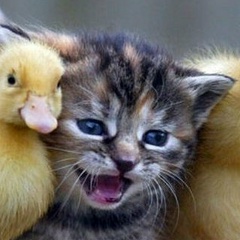 Александр Зайцев, 13.09.1972, Москва