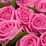 Машенька Воробьева, 01.01, Санкт-Петербург