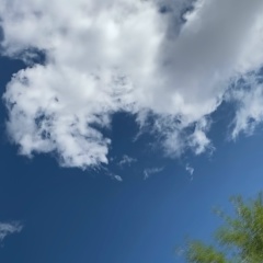 Tolkyn Rakhimzhanova, 17.06, Астана