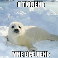 Денис Коновалов, 05.05.1990, Москва