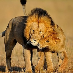 Ольга Жукова, Москва