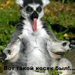 Ашот Артемянц, 31.05.1976, Георгиевск