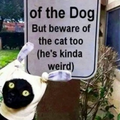 Руслан Шосаидов, 16.12.1987