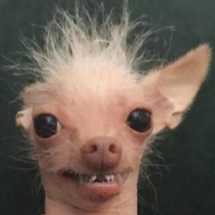 Лера Чемеркина, 03.05, Белгород