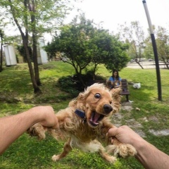 Бегайым Тузен, 21.01, Алматы