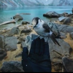 Антон Тохенский, 18.04