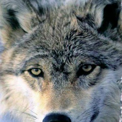 Нурия Рашидовна, 01.04, Уфа