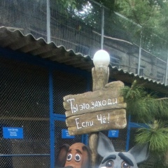 Сергей Добровольский, 13.06.1984, Макеевка