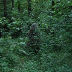 Андрей Моргулец, 07.04, Малин