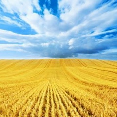 Николай Петручик, 19.12, Киев