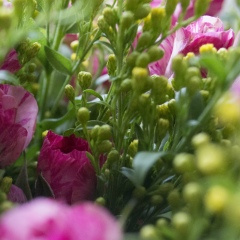 Мария Федорова, 02.09.1989, Москва