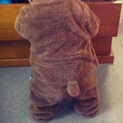 Роман Мунтян, 03.11