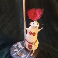 Тина Соловейчик, 18.11.1995, Сургут