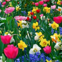 Алёна Чаплюк, 17.08.1987, Thessaloniki