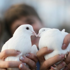 Славик Жестков, 08.08.1989, Москва