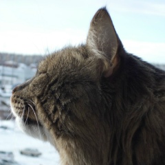 Анастасия Ситникова, 07.07, Челябинск