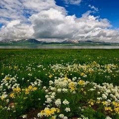 Anara Kasenova, 28.10.1967, Алматы