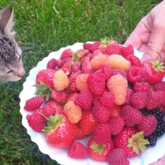 Татьяна Спирина, 01.01, Санкт-Петербург