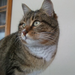 Александр Валдаев, 04.11, Санкт-Петербург