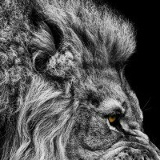 Ulan Imankulov, 12.08.1993