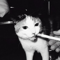 Lenar Khairikenov, 14.06, Астана