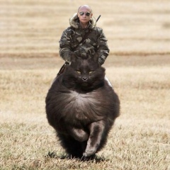 Георгий Решетников, Уфа