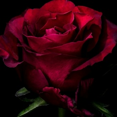 Андрей Викторович, 25.06