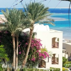 Виолетта Горошкова, 20.04.1990, Тирасполь