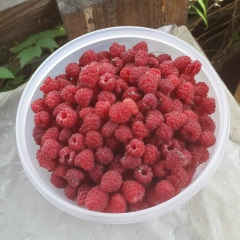 Мария Бондаренко, 07.03, Красноярск