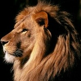 Дмитрий Меньковский, 22.02, Санкт-Петербург