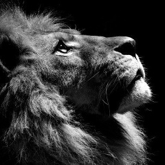 Павел Никитин, 13.08, Тюмень