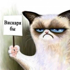 Добрый Кук, 28.10.1987, Лянтор