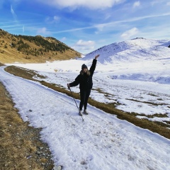 Жана Рошу, Бричаны