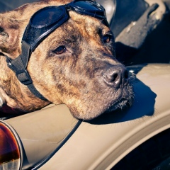 Тимур Ильясов, 10.01.1987, Тобольск