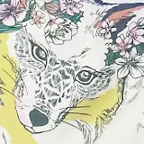 Екатерина Липкан, Санкт-Петербург