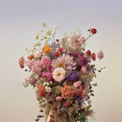 Нафиса Зурдинова, Алматы