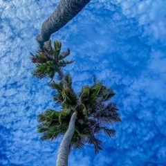 Руслан Эльдаров, 12.10