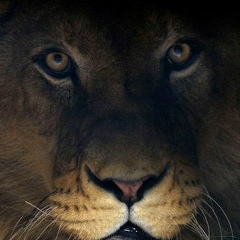 Бейбит Байдаулетов, 01.08, Астана