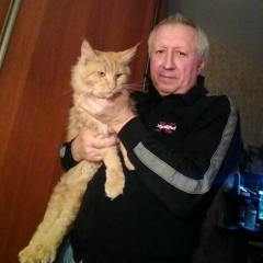 Александр Аносов, Москва