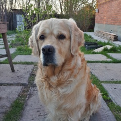 Владимир Мантев