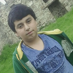 Giorgi Kashuashvili, Сенаки