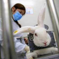 Никита Потапов, 18.05.1989, Санкт-Петербург